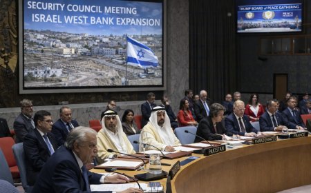 UN Security Council Scolds Israel As Trump Prepares ‘Board Of Peace’ To Compete With Entire United Nations