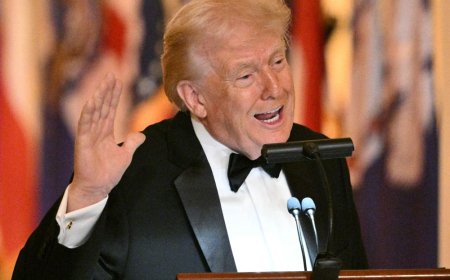 Greenland Declared Medically Unwell As Trump Dispatches ‘Great’ Hospital Boat And Strategic Interest