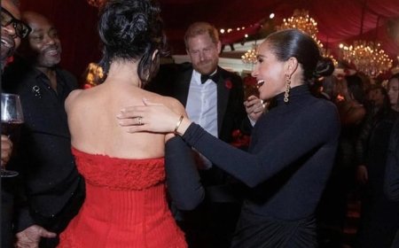 The Great Royal Delete: Why Meghan and Harry’s Party Pics Suddenly Disappeared